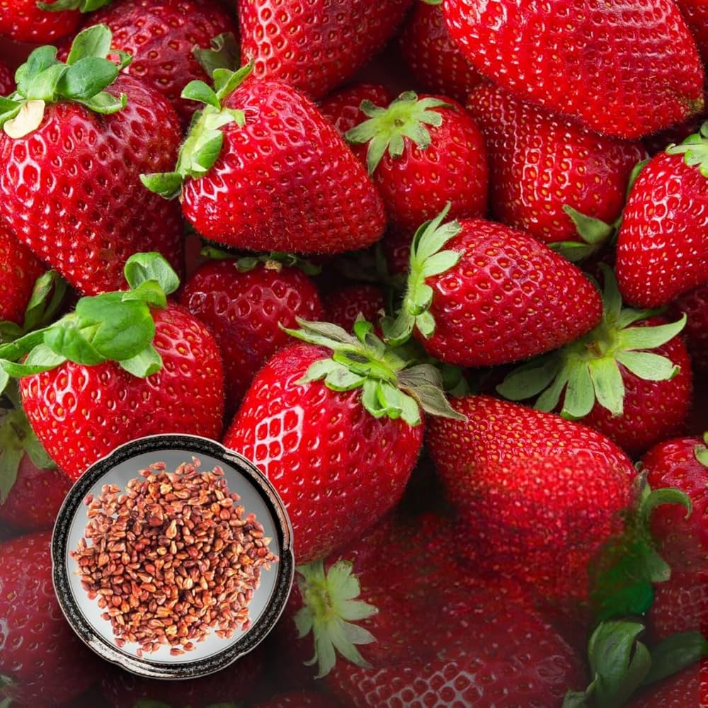 Hanging basket strawberries ripening from seeds in cascading greenery